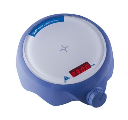 color big squid white